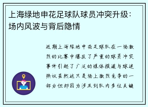 上海绿地申花足球队球员冲突升级：场内风波与背后隐情