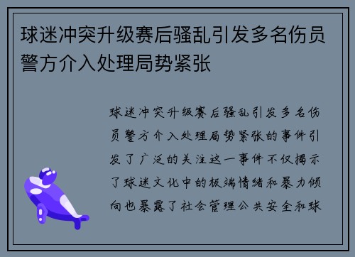 球迷冲突升级赛后骚乱引发多名伤员警方介入处理局势紧张