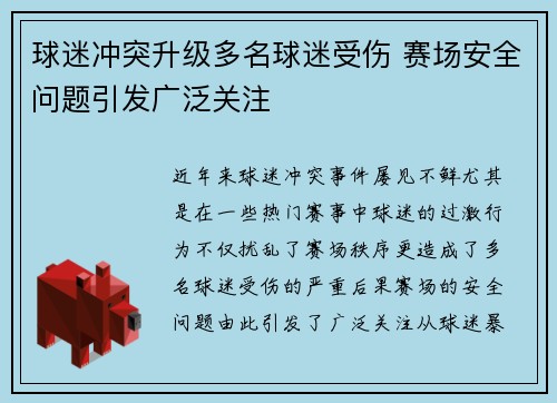 球迷冲突升级多名球迷受伤 赛场安全问题引发广泛关注